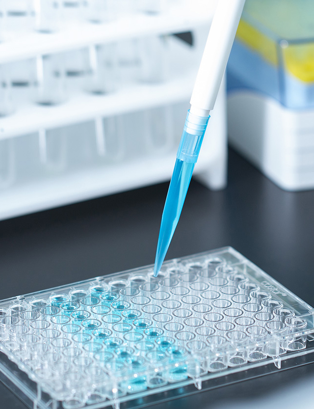 武漢格林特包裝材料有限公司